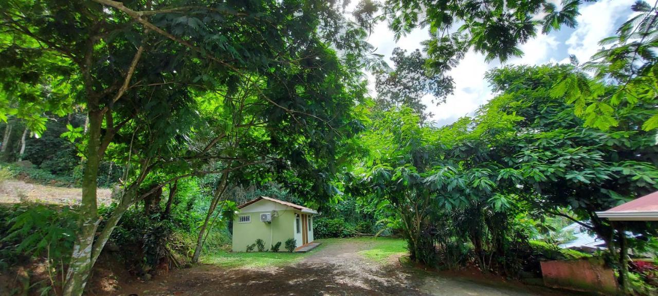 Hostal Y Cabinas Anita-And Rafting Tour! Siqurres Da Alegria Екстериор снимка