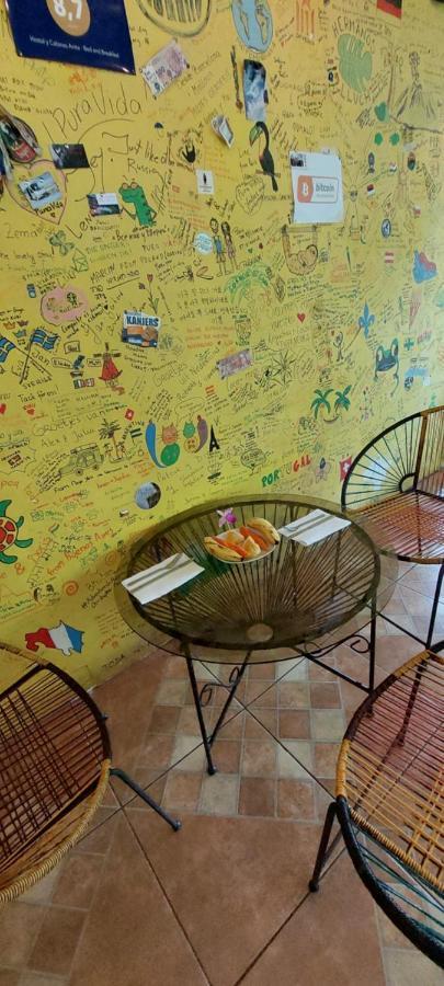 Hostal Y Cabinas Anita-And Rafting Tour! Siqurres Da Alegria Екстериор снимка